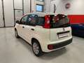 Fiat Panda EASY 1.2 69 CV Bianco - thumbnail 5