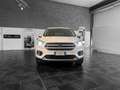 Ford Kuga 2.0 tdci Titanium s&s awd 150cv powershift my18 - thumbnail 2