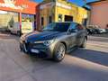 Alfa Romeo Stelvio 2.2 t Business rwd 160cv auto Argento - thumbnail 1