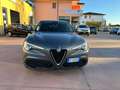 Alfa Romeo Stelvio 2.2 t Business rwd 160cv auto Argento - thumbnail 2