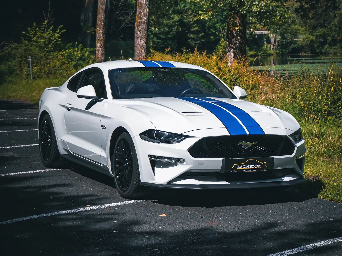 Ford Mustang Mustang 5.0 Ti-VCT V8 GT (EU6d) Blanc - 1