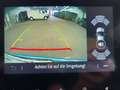 Renault ZOE INTENS R135 Z.E 50 UPE:38.400,- CCS Inkl.Batterie Blau - thumbnail 13