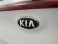 Kia Sportage 1.6 MHEV Drive 100kW (136CV) 4x2 Blanco - thumbnail 21