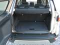 Ford EcoSport Titanium Automatik Ambiente+SHD+Winter Auriu - thumbnail 11