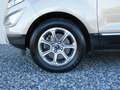 Ford EcoSport Titanium Automatik Ambiente+SHD+Winter Gold - thumbnail 23