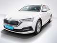 Skoda Octavia 1.0 TSI Ambition OPF LED SmartLink Parkpilot Blanc - thumbnail 10