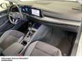 Volkswagen Golf Life 1.5 TSI Navigation Sitzheizung Blanc - thumbnail 12