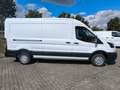 Ford Transit Kasten 310 L3 Trend Weiß - thumbnail 4