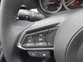 Mazda 6 Mazda6 /SPC/G145/Centre-Line Modell 2024 Grau - thumbnail 14