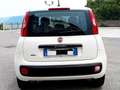 Fiat Panda Wit - thumbnail 4