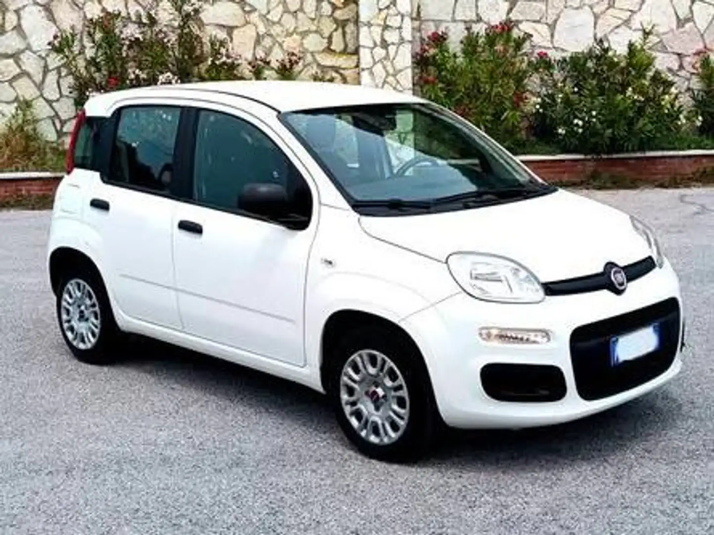 Fiat Panda Wit - 1