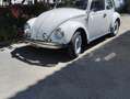 Volkswagen Maggiolino 1.2 L (messico) - thumbnail 1