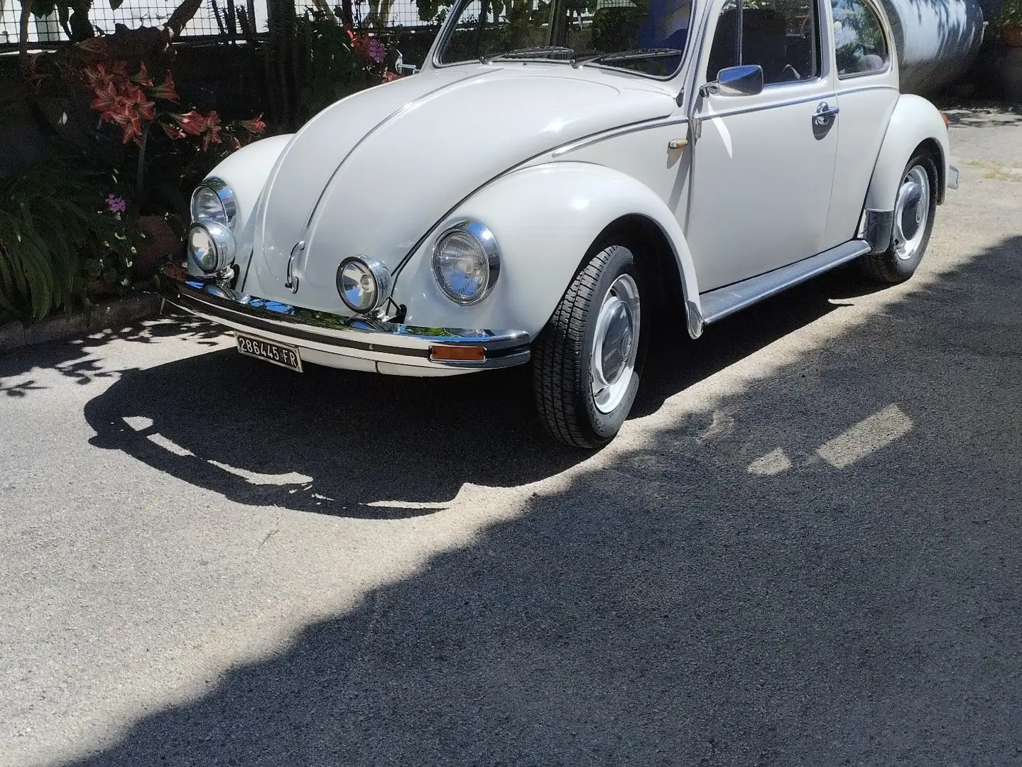Volkswagen Maggiolino 1.2 L (messico) - 1