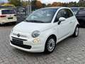 Fiat 500 1.2 Loung*Pano*Klima*Aluf*Euro6 - thumbnail 2