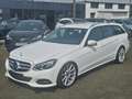 Mercedes-Benz E 350 E 350 BlueTec 4Matic LED AHK Kamera Blanco - thumbnail 22