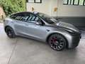 Tesla Model Y Performance Dual Motor awd Argento - thumbnail 1