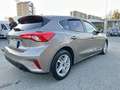 Ford Focus 1.5 EcoBlue 120 CV automatico 5p. Business Co-Pil Beige - thumbnail 7