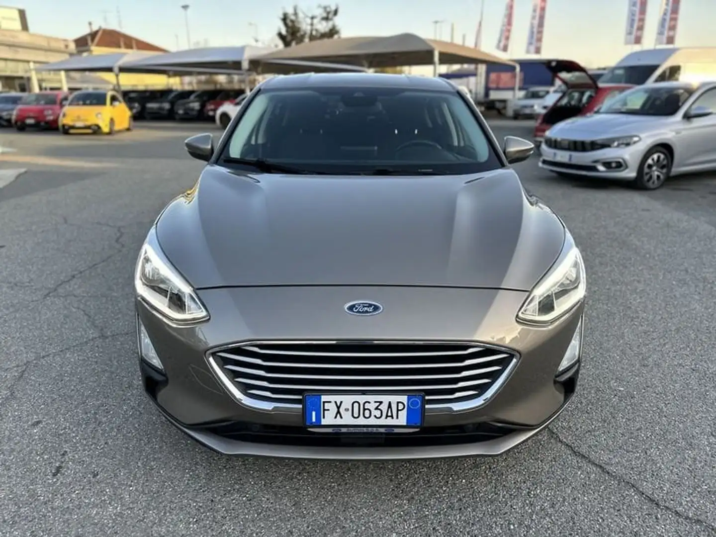 Ford Focus 1.5 EcoBlue 120 CV automatico 5p. Business Co-Pil Beige - 2
