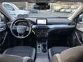 Ford Focus 1.5 EcoBlue 120 CV automatico 5p. Business Co-Pil Beige - thumbnail 14