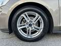 Ford Focus 1.5 EcoBlue 120 CV automatico 5p. Business Co-Pil Beige - thumbnail 9