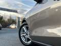 Ford Focus 1.5 EcoBlue 120 CV automatico 5p. Business Co-Pil Beige - thumbnail 10