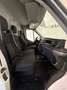 Ford Transit Kasten 2,0 EcoBlue L2H2 310 Trend Alb - thumbnail 9