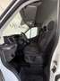 Ford Transit Kasten 2,0 EcoBlue L2H2 310 Trend Alb - thumbnail 8