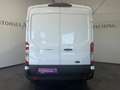 Ford Transit Kasten 2,0 EcoBlue L2H2 310 Trend Bílá - thumbnail 5