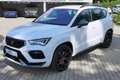 CUPRA Ateca 2.0 #4DRIVE #AHZV #ACC #LEDER Weiß - thumbnail 3