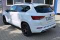 CUPRA Ateca 2.0 #4DRIVE #AHZV #ACC #LEDER Weiß - thumbnail 9