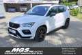 CUPRA Ateca 2.0 #4DRIVE #AHZV #ACC #LEDER Weiß - thumbnail 1
