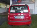 Fiat Panda Panda II 2003 1.2 natural power Dynamic Mamy Rosso - thumbnail 6