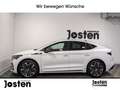 Skoda Enyaq Suite Coupe RS 4x4 WÄPU DCC MASSAGE HUD LEDER Weiß - thumbnail 3