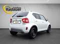 Suzuki Ignis 1,2 Dualjet Hybrid Allgrip Shine Weiß - thumbnail 5