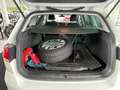 Volkswagen Golf Variant Rabbit 1,6 TDI Weiß - thumbnail 11