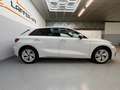 Audi A3 30 TDI PDC TEMP SITZHZG KLIMAAUTO Weiß - thumbnail 10