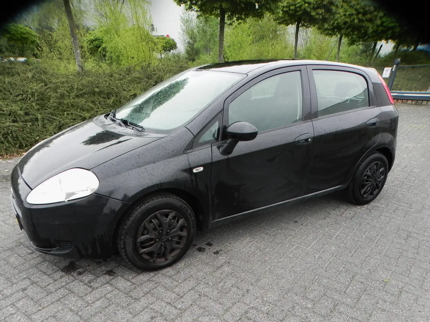 Fiat Punto Punto 1.4 Active Zwart - 1