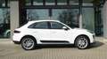 Porsche Macan 3.0 Diesel S Bianco - thumbnail 4