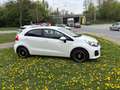 Kia Rio Blanc - thumbnail 4
