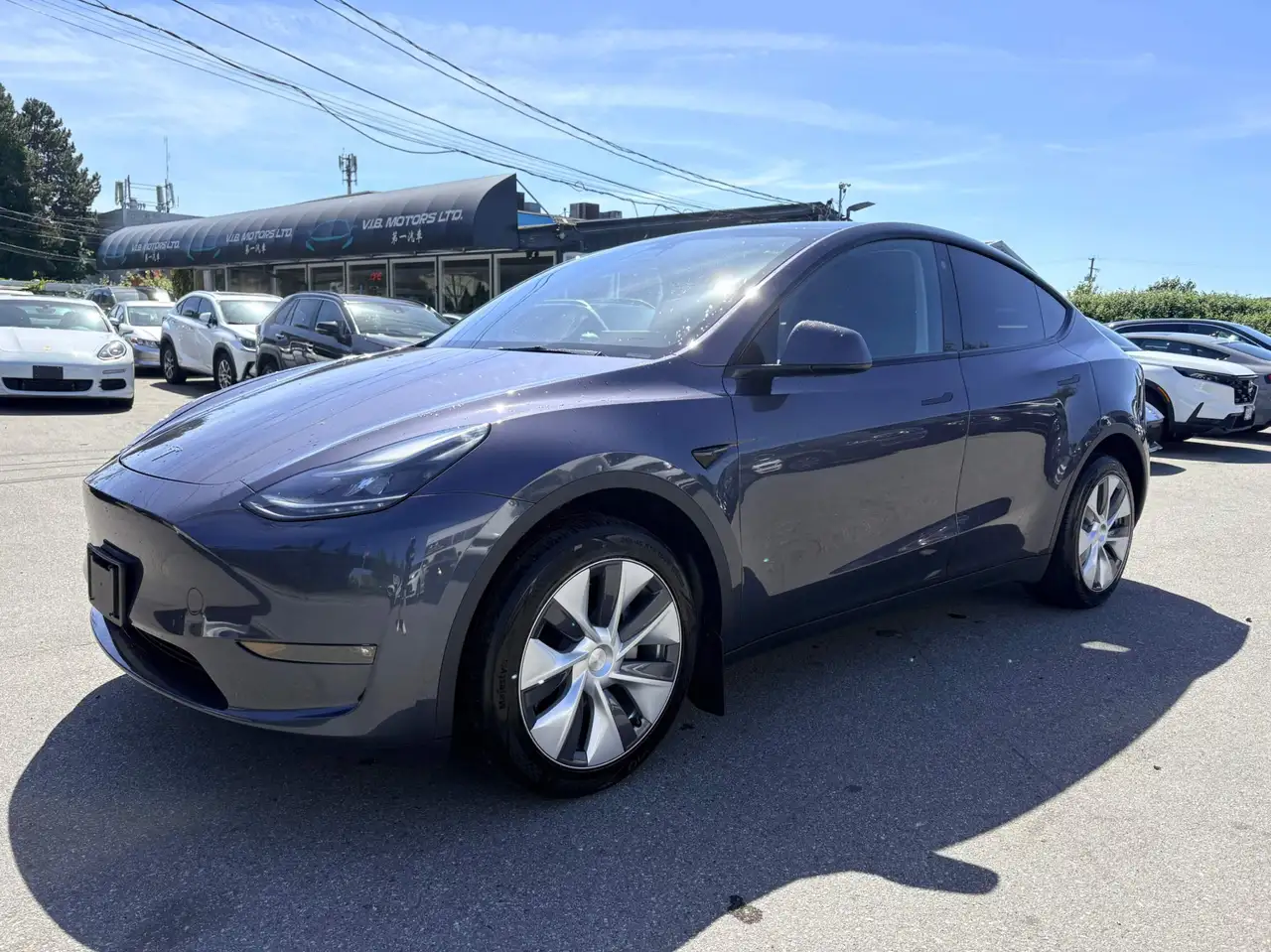 2023 Tesla Model Y