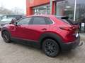 Mazda CX-30 *Navi*LED*Fin. ab 149€ Rot - thumbnail 3