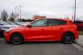 Ford Focus ST 2.3 EcoBoost LED Navi B&O Kamera DAB Rouge - thumbnail 5