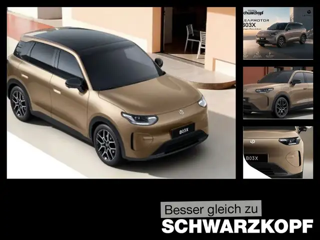 Leapmotor Sonstige