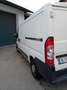 Fiat Ducato 14 Panorama GR 3200/3,2t 2,8 TD - thumbnail 2