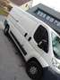Fiat Ducato 14 Panorama GR 3200/3,2t 2,8 TD - thumbnail 4