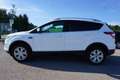 Ford Kuga 1.5  Trend 4x2 Start/Stopp Weiß - thumbnail 3