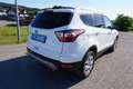Ford Kuga 1.5  Trend 4x2 Start/Stopp Weiß - thumbnail 6