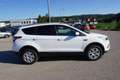 Ford Kuga 1.5  Trend 4x2 Start/Stopp Weiß - thumbnail 7