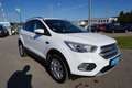 Ford Kuga 1.5  Trend 4x2 Start/Stopp Weiß - thumbnail 8