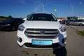 Ford Kuga 1.5  Trend 4x2 Start/Stopp Weiß - thumbnail 1